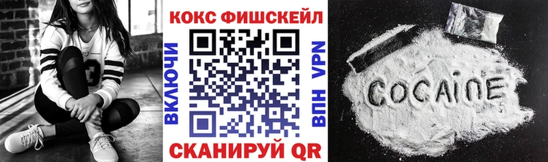 Купить закладки  Чишмы  COCAIN Fish Scale 