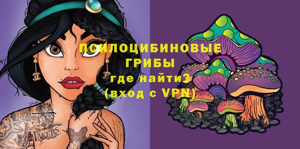 мет Кинешма