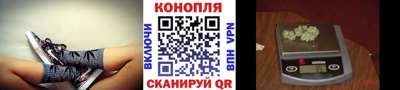 Конопля White Widow  Купить где  Чишмы 